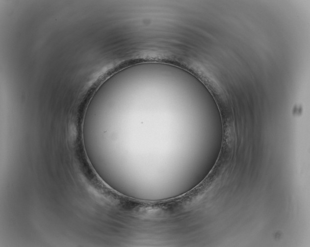 X0000096170208200802011326