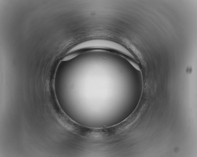 X0000096170209200802011326