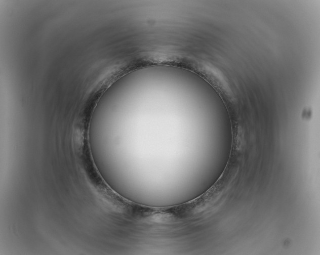 X0000096170210200802011326