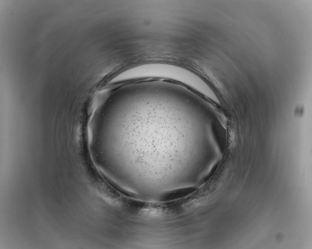 X0000096170211200802011326