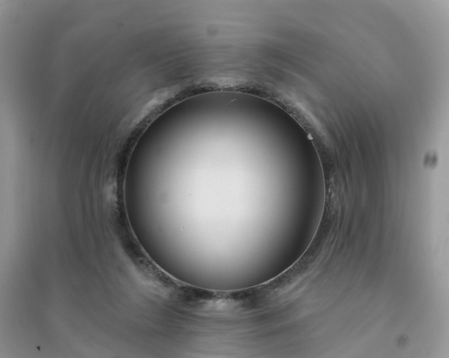 X0000096170212200802011326