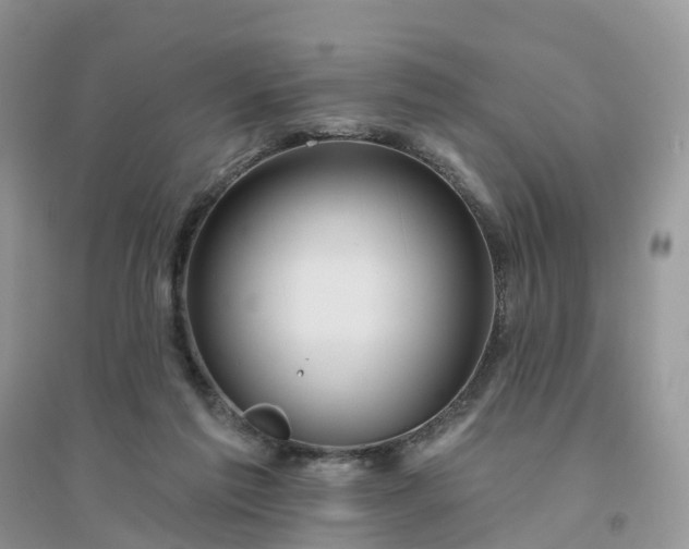 X0000096170213200802011326