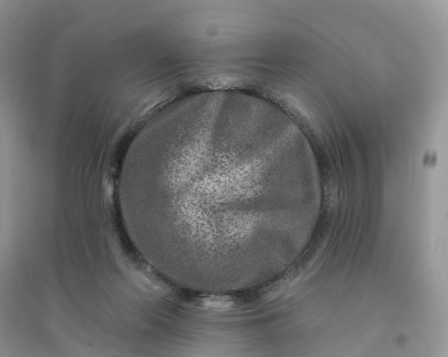 X0000096170214200802011326