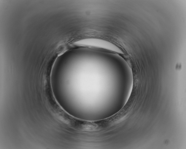 X0000096170215200802011326