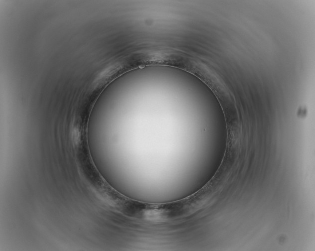 X0000096170216200802011326