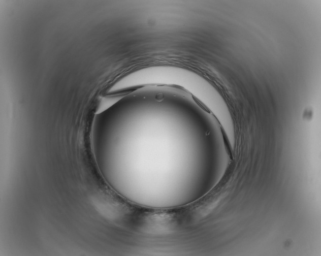 X0000096170217200802011326