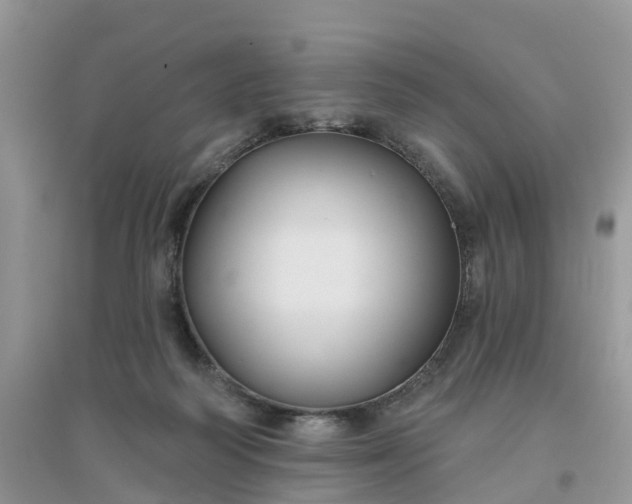 X0000096170218200802011326