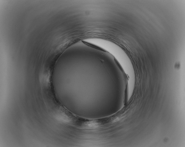 X0000096170219200802011326