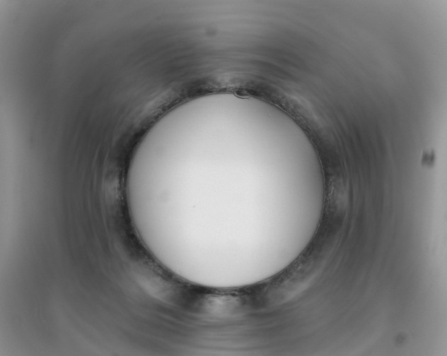 X0000096170220200802011326