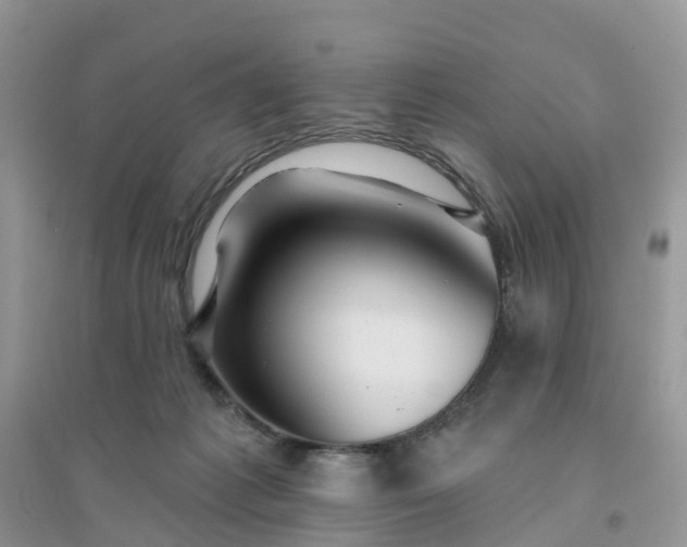 X0000096170221200802011326