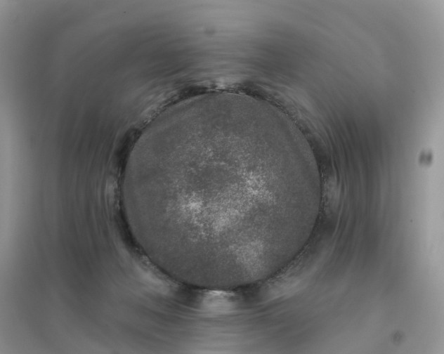 X0000096170222200802011326