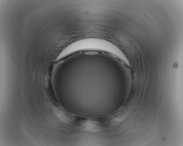 X0000096170223200802011326