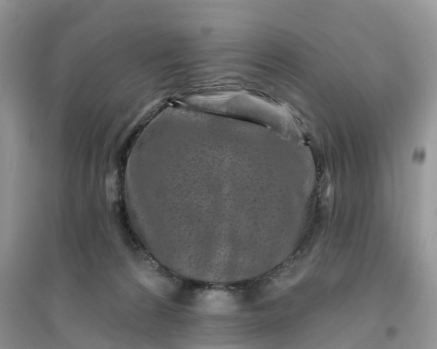 X0000096170224200802011326