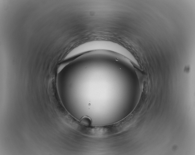 X0000096170225200802011326