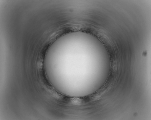 X0000096170226200802011326