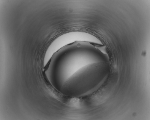 X0000096170227200802011326