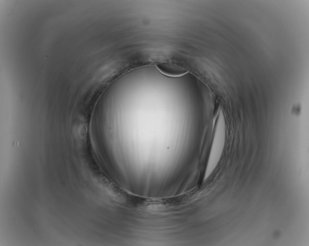 X0000096170228200802011326