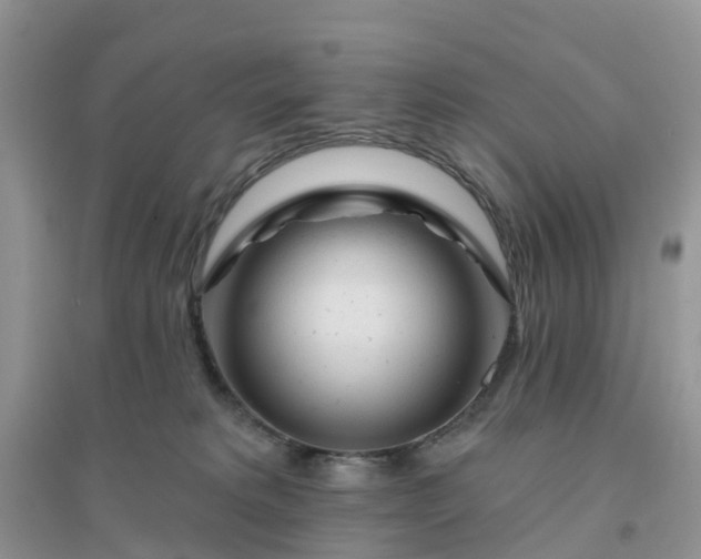 X0000096170229200802011326