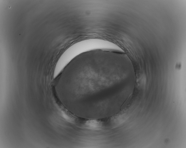 X0000096170231200802011326