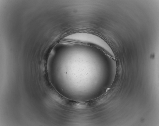 X0000096170232200802011326