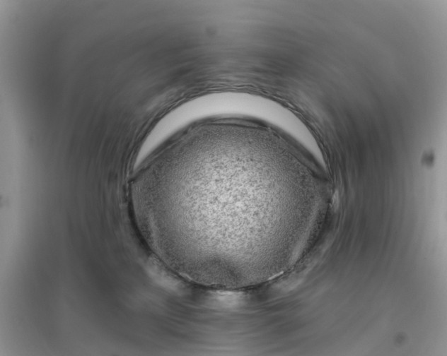 X0000096170233200802011326