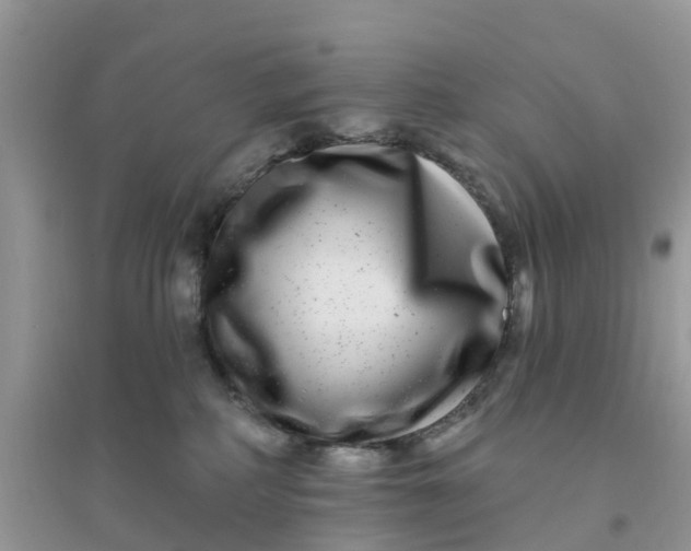 X0000096170234200802011326