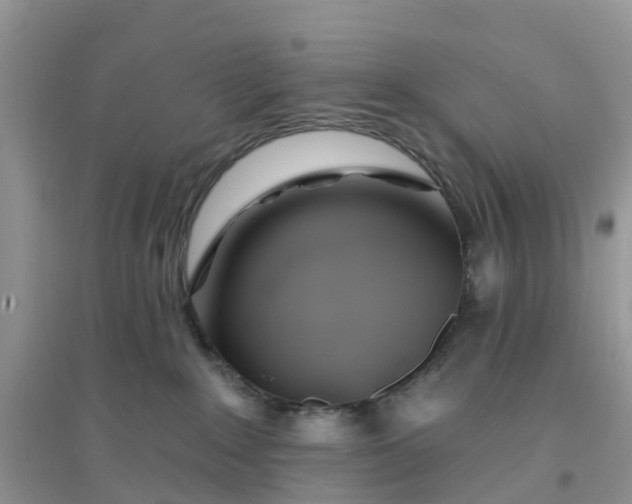 X0000096170235200802011326