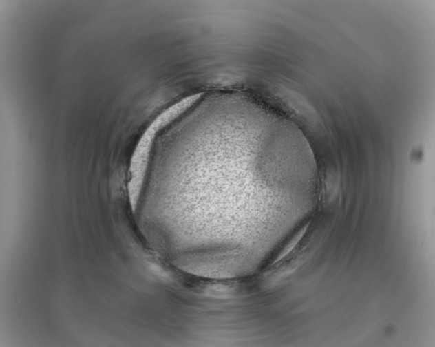 X0000096170236200802011326