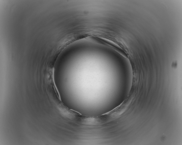 X0000096170237200802011326