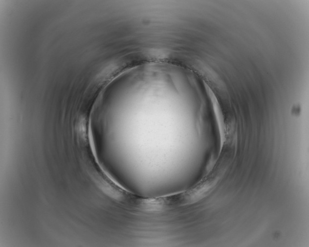 X0000096170238200802011326