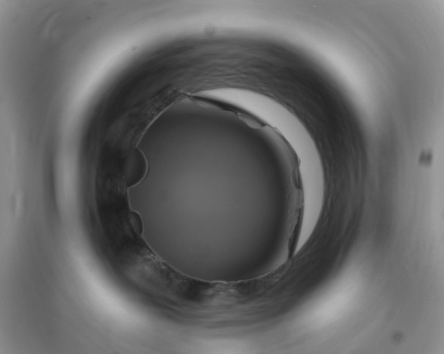 X0000096170239200802011326