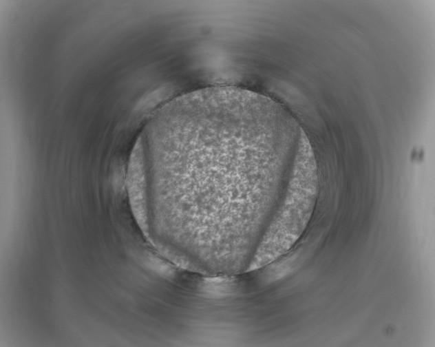 X0000096170240200802011326