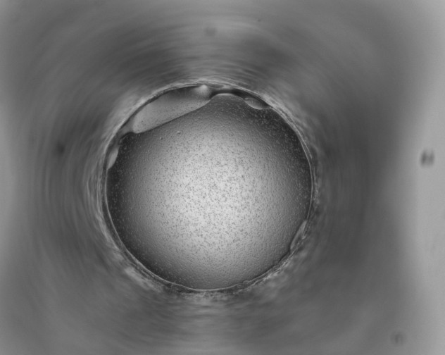 X0000096170241200802011325