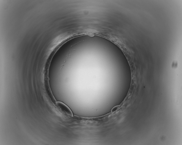 X0000096170242200802011325