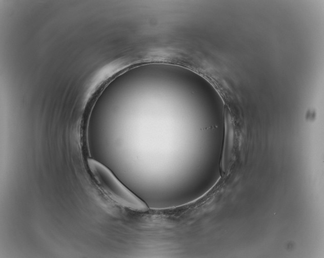 X0000096170244200802011325