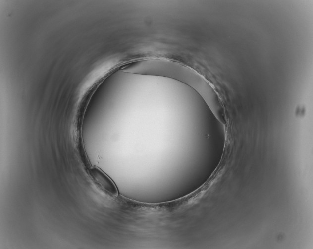 X0000096170245200802011325