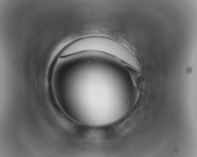 X0000096170248200802011325