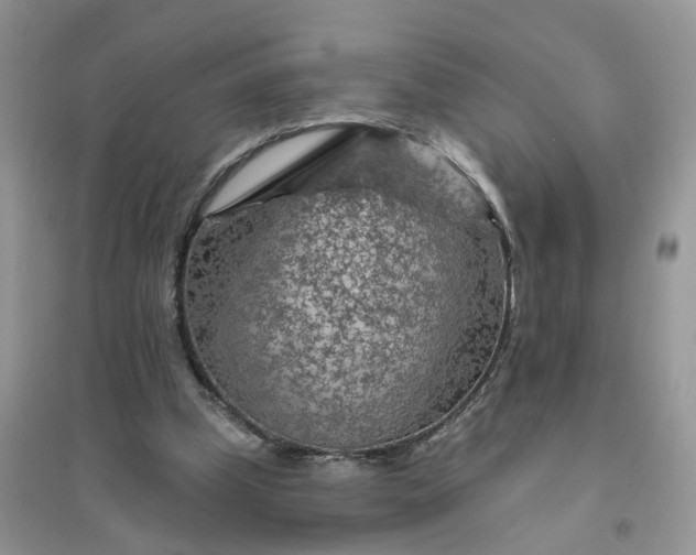 X0000096170249200802011325