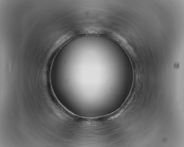 X0000096170250200802011325