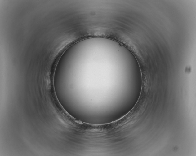 X0000096170251200802011325