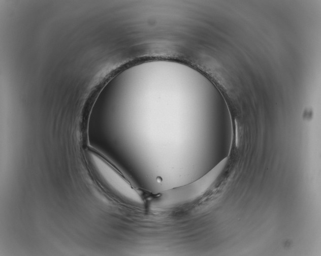 X0000096170252200802011325