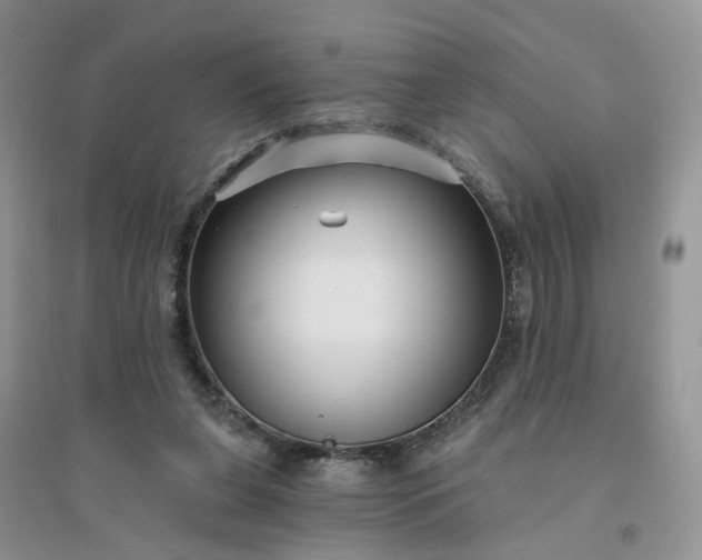 X0000096170255200802011325