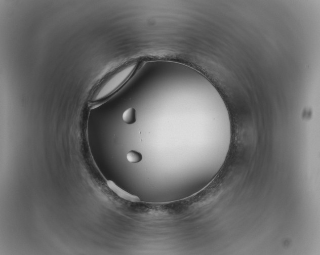 X0000096170256200802011325