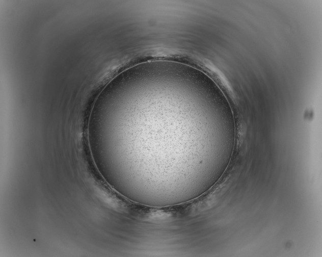 X0000096170257200802011325