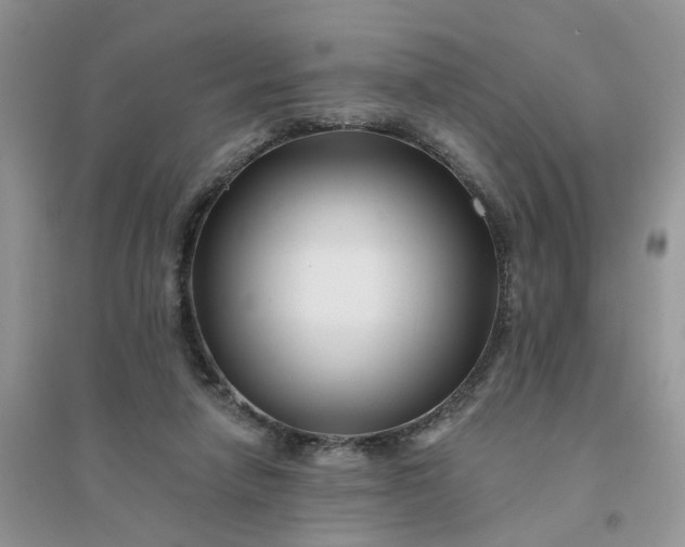 X0000096170258200802011325