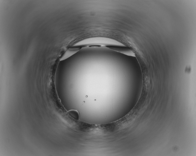 X0000096170259200802011325