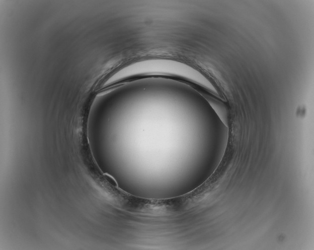 X0000096170260200802011325