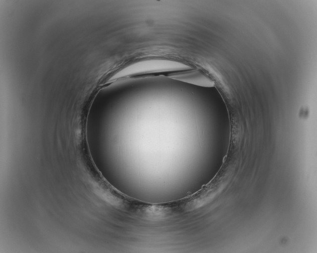 X0000096170261200802011325