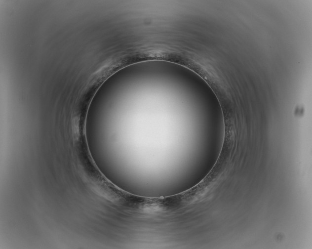 X0000096170262200802011325