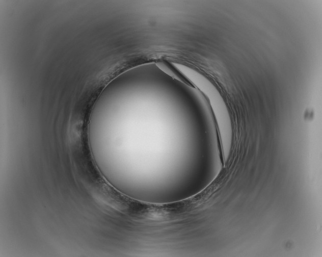 X0000096170263200802011325